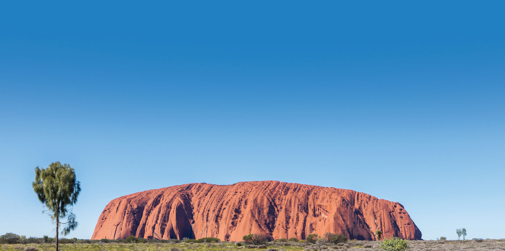 Red Centre Spectacular 