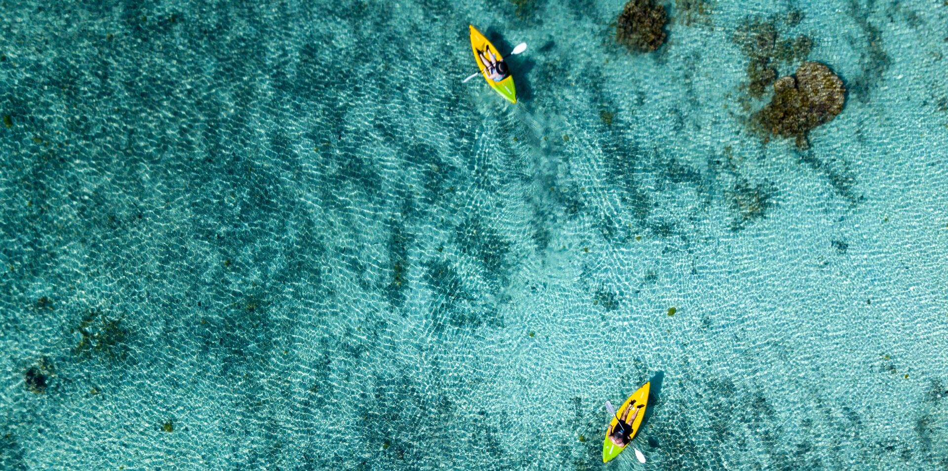 Cook Islands Oasis