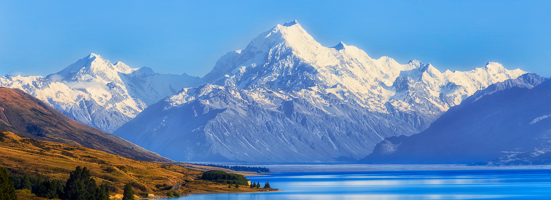 New Zealand Group Tours banner